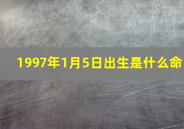 1997年1月5日出生是什么命