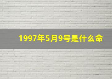 1997年5月9号是什么命