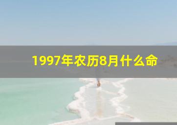 1997年农历8月什么命