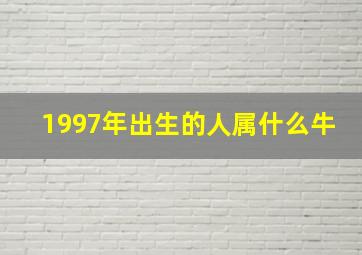 1997年出生的人属什么牛