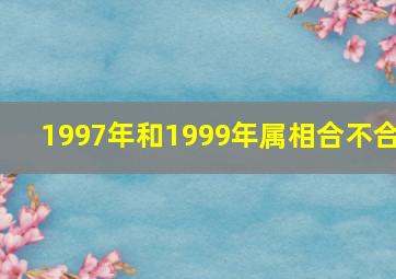 1997年和1999年属相合不合