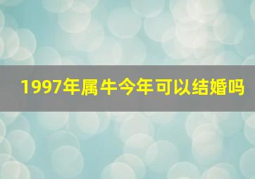 1997年属牛今年可以结婚吗