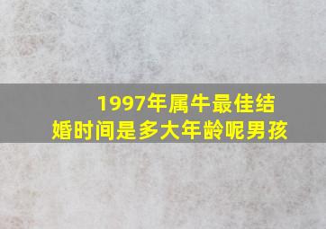 1997年属牛最佳结婚时间是多大年龄呢男孩