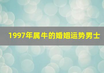 1997年属牛的婚姻运势男士