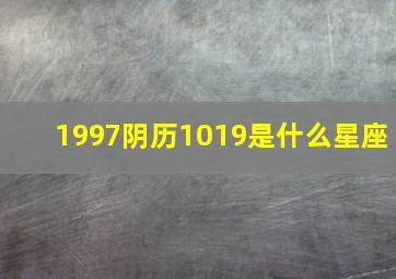 1997阴历1019是什么星座