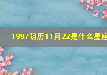 1997阴历11月22是什么星座