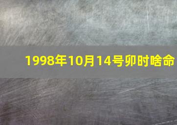 1998年10月14号卯时啥命