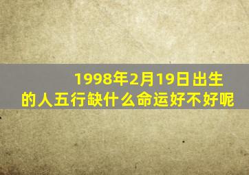 1998年2月19日出生的人五行缺什么命运好不好呢