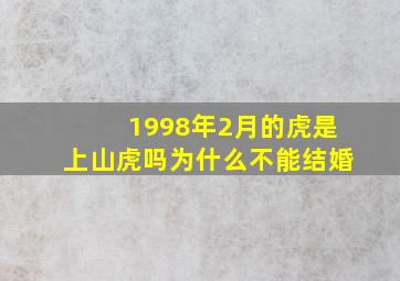 1998年2月的虎是上山虎吗为什么不能结婚