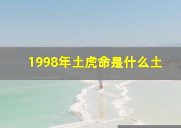 1998年土虎命是什么土