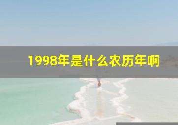 1998年是什么农历年啊