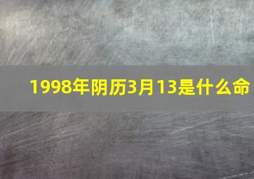 1998年阴历3月13是什么命