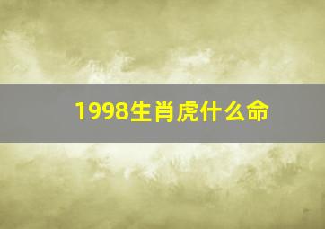 1998生肖虎什么命