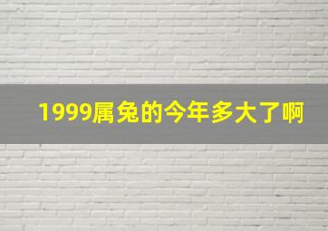 1999属兔的今年多大了啊