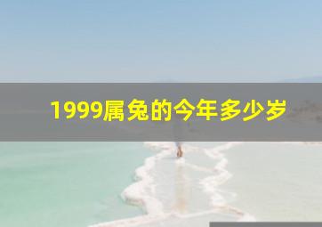 1999属兔的今年多少岁