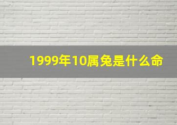 1999年10属兔是什么命