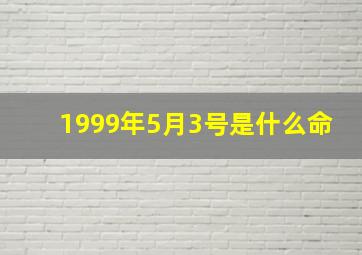 1999年5月3号是什么命