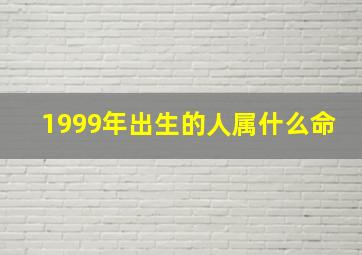 1999年出生的人属什么命