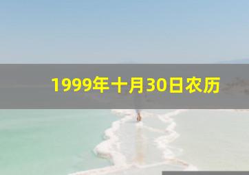 1999年十月30日农历