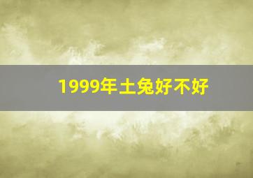 1999年土兔好不好