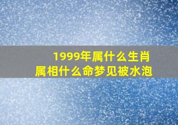 1999年属什么生肖属相什么命梦见被水泡