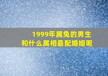 1999年属兔的男生和什么属相最配婚姻呢