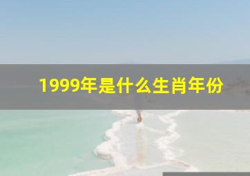 1999年是什么生肖年份