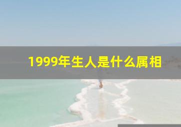 1999年生人是什么属相