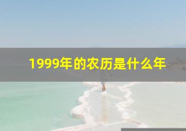 1999年的农历是什么年