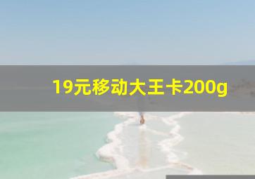 19元移动大王卡200g