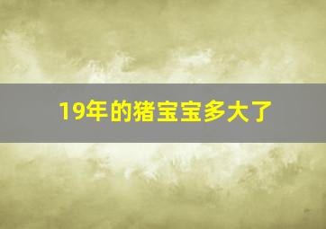 19年的猪宝宝多大了