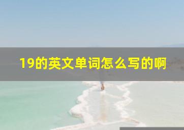 19的英文单词怎么写的啊