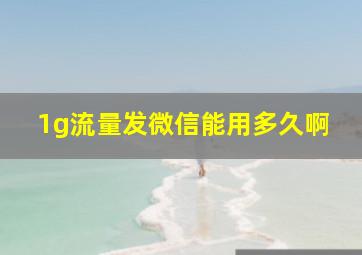 1g流量发微信能用多久啊