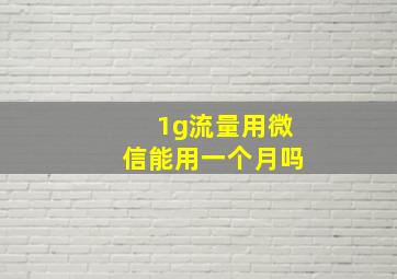 1g流量用微信能用一个月吗