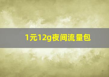 1元12g夜间流量包