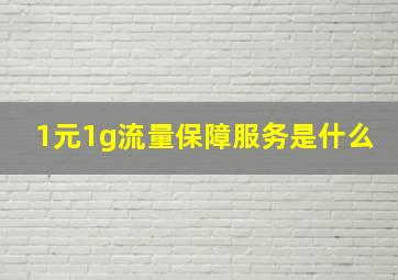 1元1g流量保障服务是什么