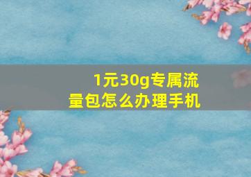 1元30g专属流量包怎么办理手机