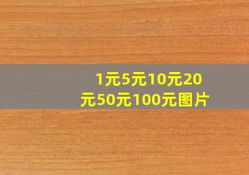 1元5元10元20元50元100元图片