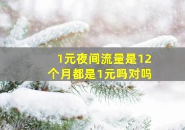 1元夜间流量是12个月都是1元吗对吗