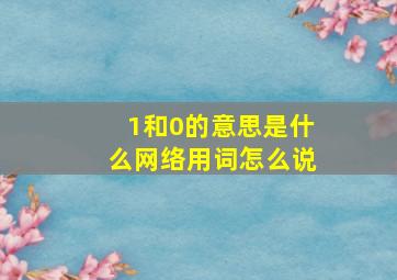 1和0的意思是什么网络用词怎么说