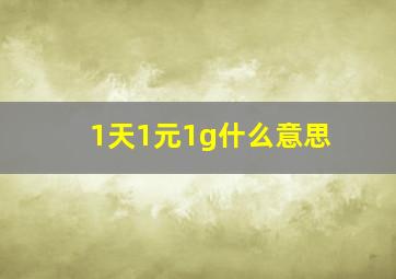 1天1元1g什么意思