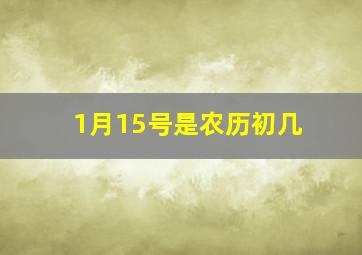 1月15号是农历初几