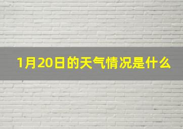 1月20日的天气情况是什么