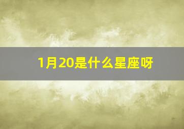 1月20是什么星座呀