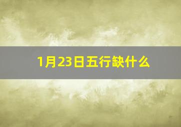 1月23日五行缺什么