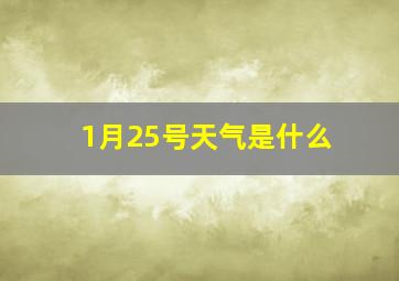 1月25号天气是什么