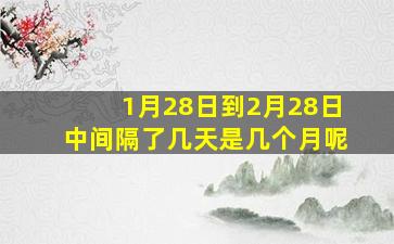 1月28日到2月28日中间隔了几天是几个月呢