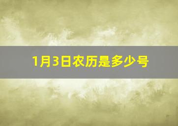 1月3日农历是多少号