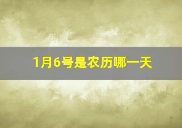 1月6号是农历哪一天