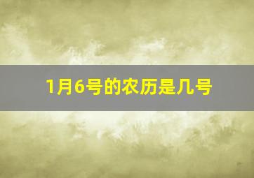 1月6号的农历是几号